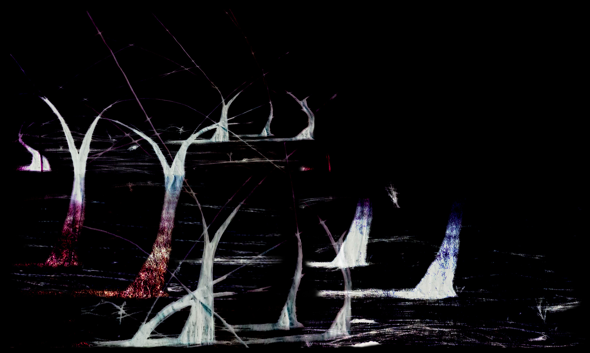 there is supposed to be a forest